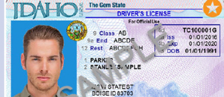 Over 21 driver license