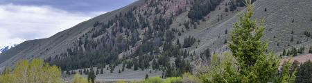 Badger Canyon near Sun Valley