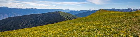 Heavens Gate Vista overlooking Seven Devils Mountain in Hells Canyon