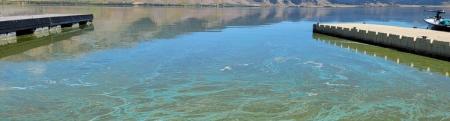 Mucky, green water at Henrys Lake caused by cyanobacterial bloom