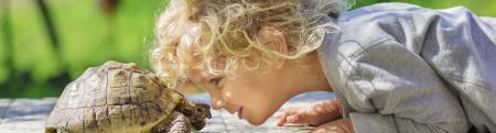 Little blonde hair girl going nose to nose with a turtle.