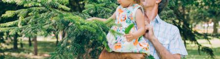 A father holding a little girl touching a pine tree