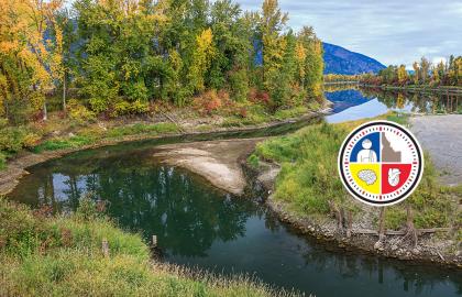 Beautiful tree lined river in Idaho.