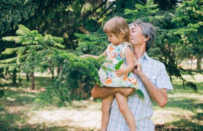 A father holding a little girl touching a pine tree