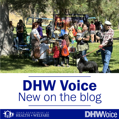 DHW Voice new on the blog