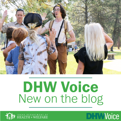 DHW Voice new on the blog