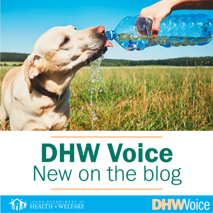 DHW Voice