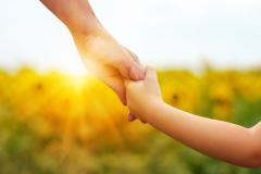 Closeup of adult and child holding hands while standing in a field of sunflowers